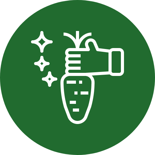 Bio-Gemüse Icon