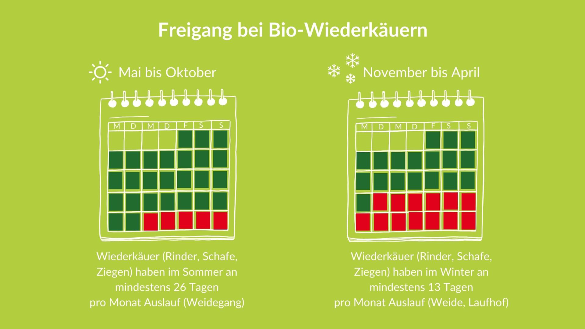Bio-Wiederkäuer haben im Sommer mindestens 26 Tage Auslauf und im Winter mindestens 13 Tage (Bild: «Bern ist Bio»).